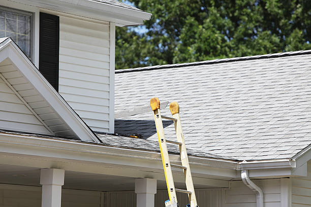 Best Shed Removal  in Tavares, FL