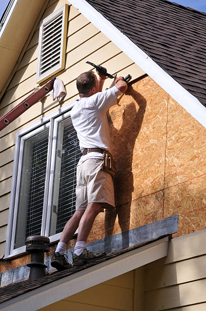 Best Attic Cleanout  in Tavares, FL